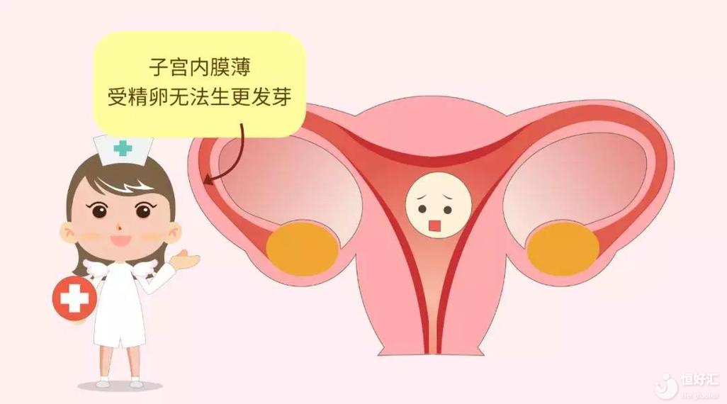 馬來西亞做試管嬰兒，成功率與子宮內膜掛鉤！